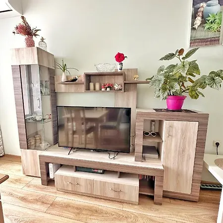 Sunny 1 Apartment
